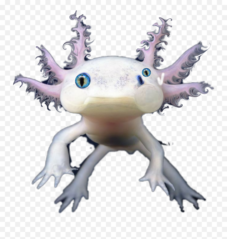 The Most Edited Sureal Picsart Emoji,Axolotl Text Emoji