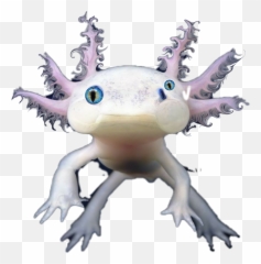 The Most Edited Sureal Picsart Emoji,Axolotl Text Emoji