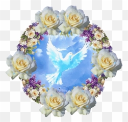Virgen María Ruega Por Nosotros - Espiritu Santo De Dios Gifs Emoji,Emoticon De Continencia