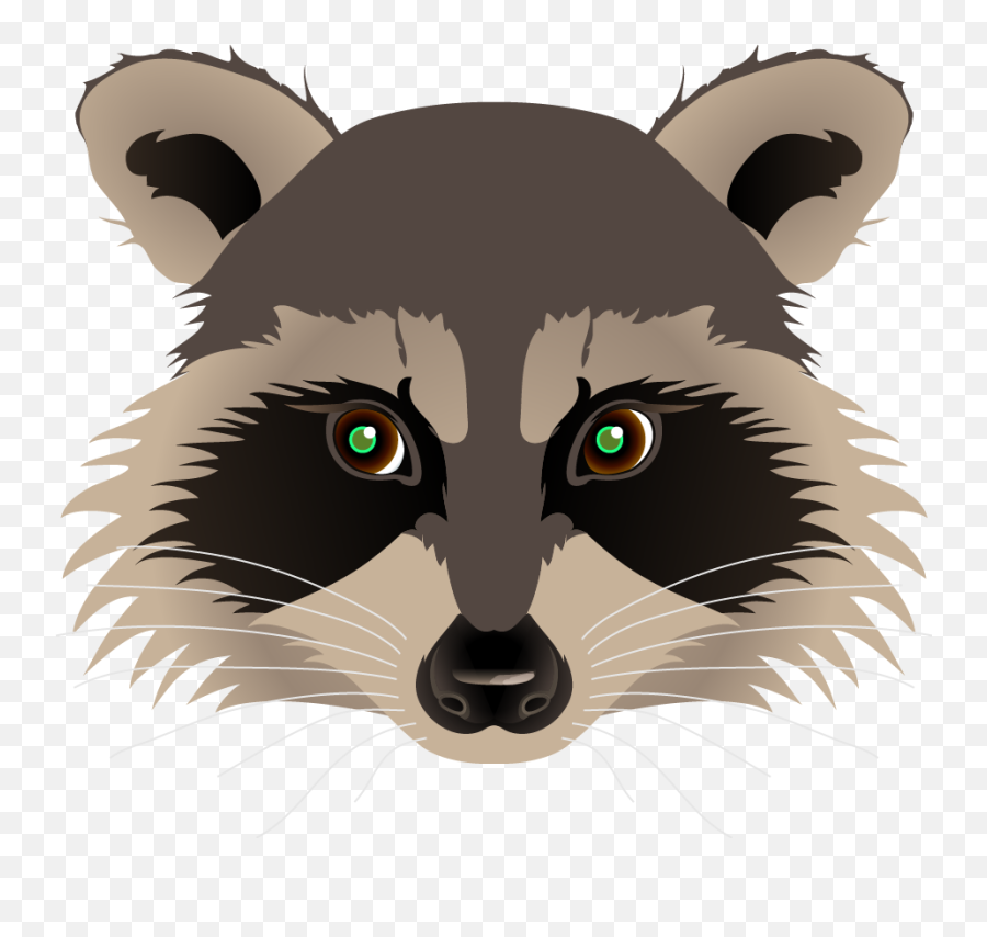 Raccoon Face Png - Racoon Clipart Emoji,Racoon Emoji