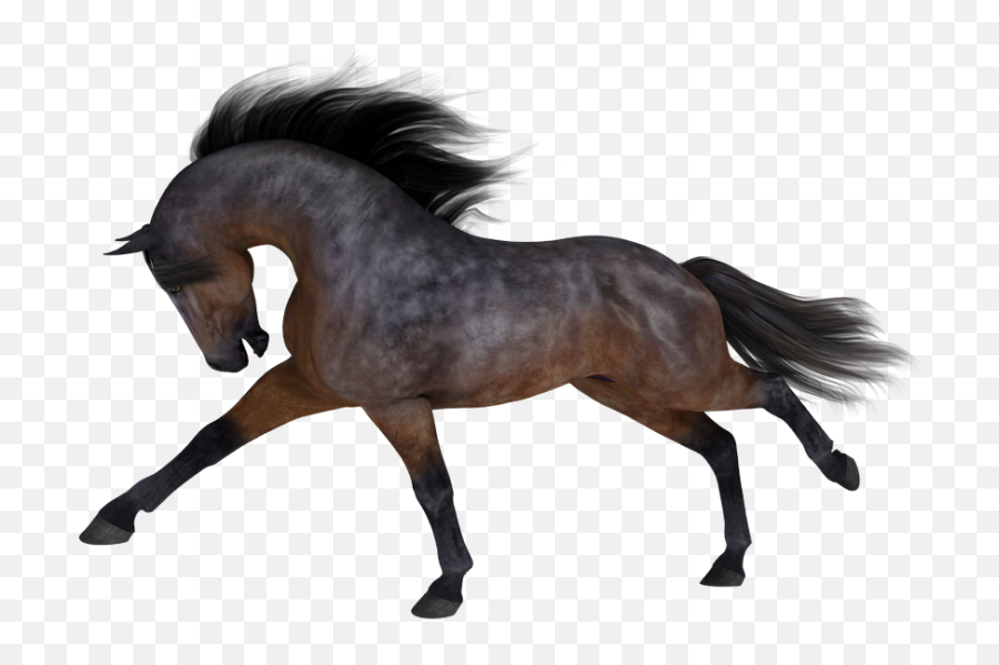 New Horse Model At Daz3d - Poser Horse Model Free Emoji,Zmy Emotions Daz3d