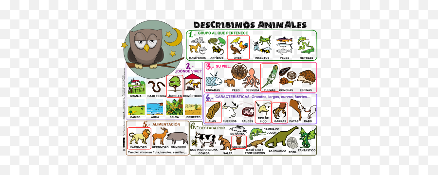 Realidades 1 Beginning Chapter Para Empezar World - Describimos Animales Emoji,Emoticons De Nube Con Nieve Para Facebook