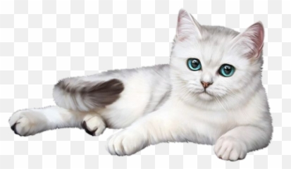 Whitecat Gatito Gato Gatitos Gatos Sticker By Rosana - Cat Emoji,Emojis Gatitos