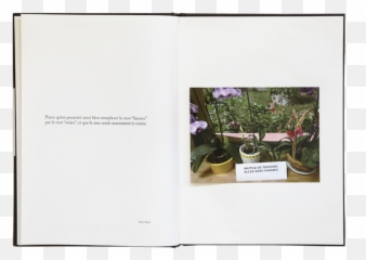 64 Sophie Calle Ideas In 2021 Sophie Calle Conceptual - Horizontal Emoji,Septum And Emotion