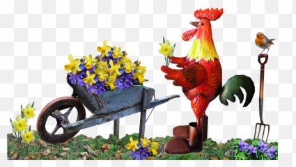 Rooster Poultry Funny - Free Photo On Pixabay Emoji,Chicken Glasses Emoticon