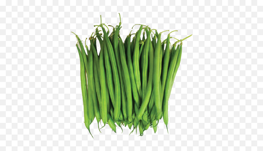 Transparent Background Green Beans - Green Beans Png Emoji,Green Bean Emoji