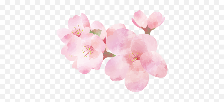 Gucalu - Girly Emoji,Cherry Blossom Emoticon