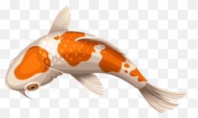 Download Carp Drawing Coy Fish - Transparent Background Koi Fish Png Emoji,Fish Emoji