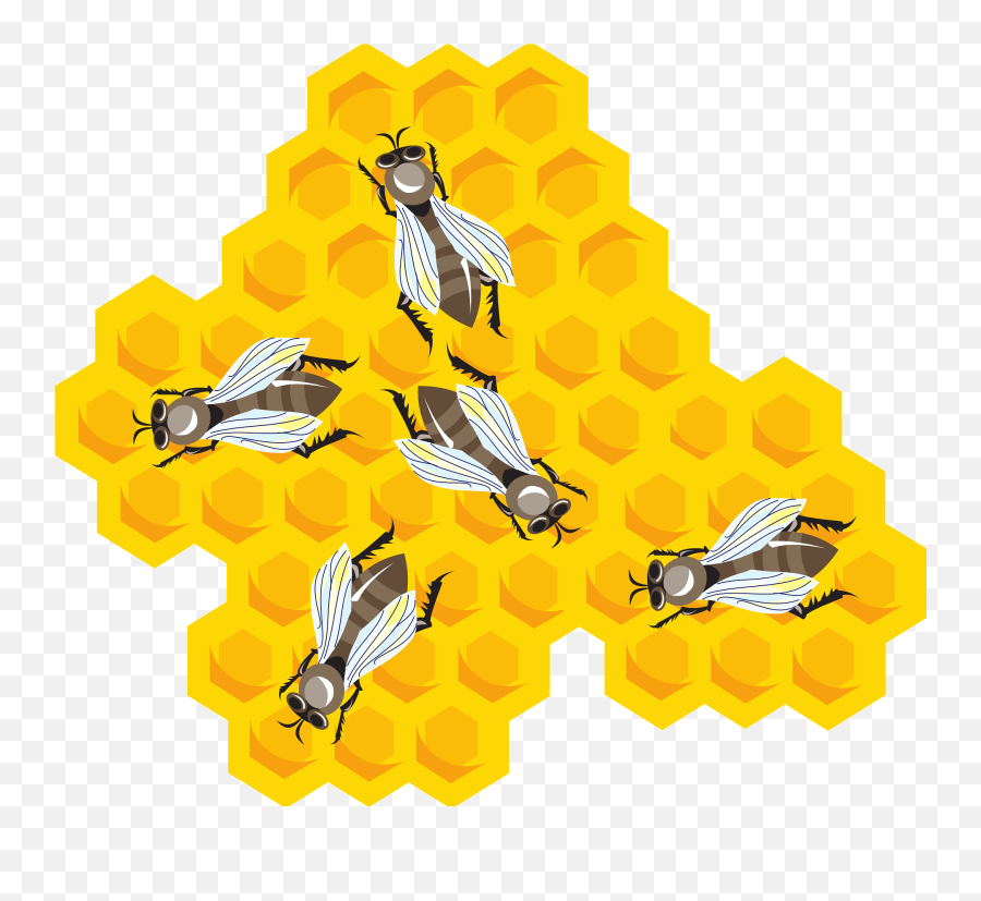 Bees - Wax Of Bees Cartoon Emoji,Honeycomb Emoji