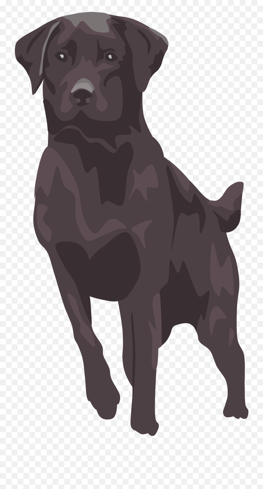 Black Lab Clipart Free Download Transparent Png Creazilla - Clip Art Emoji,Australian Shepherd Emoji