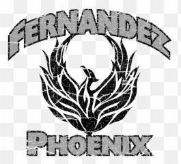 Schools For Profile - Detail Page Ash Tribal Phoenix Tattoo Rise Phoenix Shadow Emoji,Hmong Band Emotion
