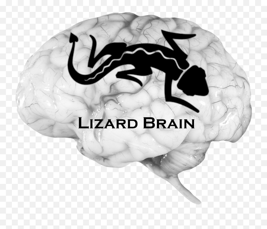 Big Lie Deception And The Brain Lizard - Does Brain Look Like Emoji,Spiritual Organ For Words Mind And Emotion