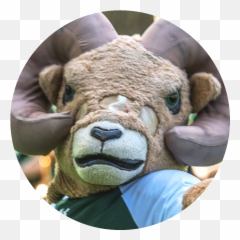 Match The Oldest College Football - Soft Emoji,Emojis Manos Se?alando