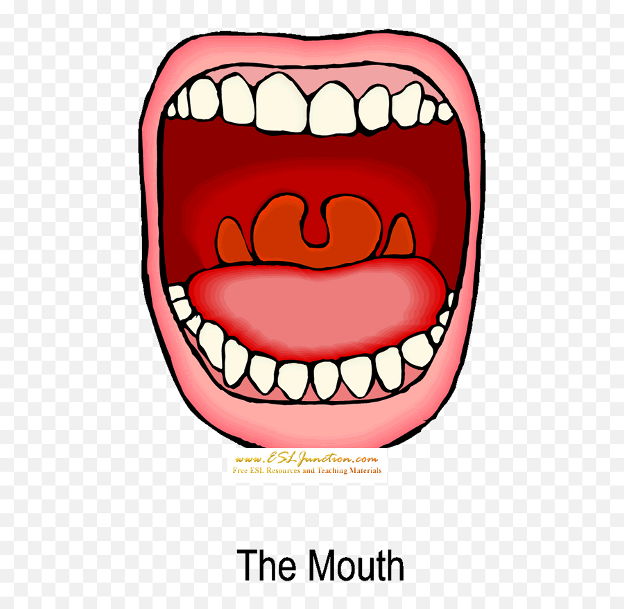 Open Mouth Clip Art Biezumd - Clipartix Mouth Digestive System Clipart Emoji,Emojis With Its Tung Sticking Out