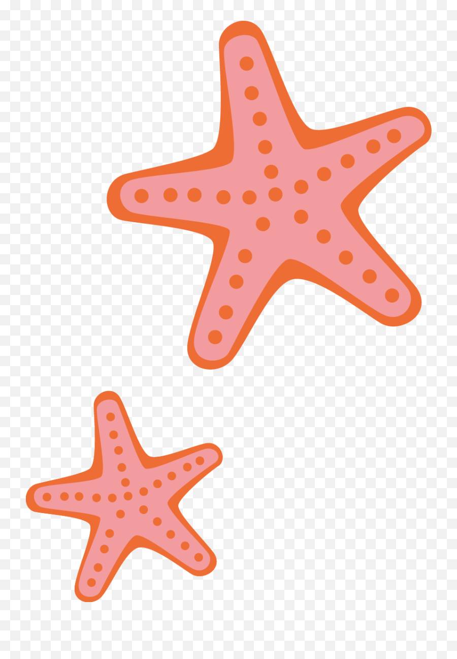 Starfish Cartoon - Starfish Creative Desenho De Estrela Do Cartoon Starfish Png Emoji,Starfish Emoticon For Facebook