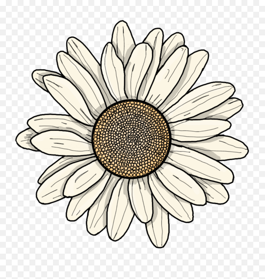 Tumblr Flower Png - Flower Cartoon Sticker Stacy Koontz Lovely Emoji,Tumblr Flower Emoji