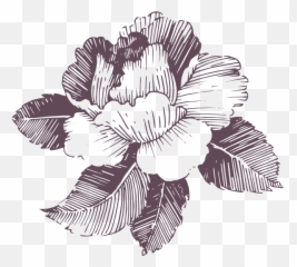 Zoë Gameau - Centre For Mind Body Wellness Emoji,Emotion Flower Worksheet