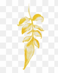 Healing Sessions U0026 Spiritual Mentorship U2014 We Heal For All Emoji,World Map Of Emotions