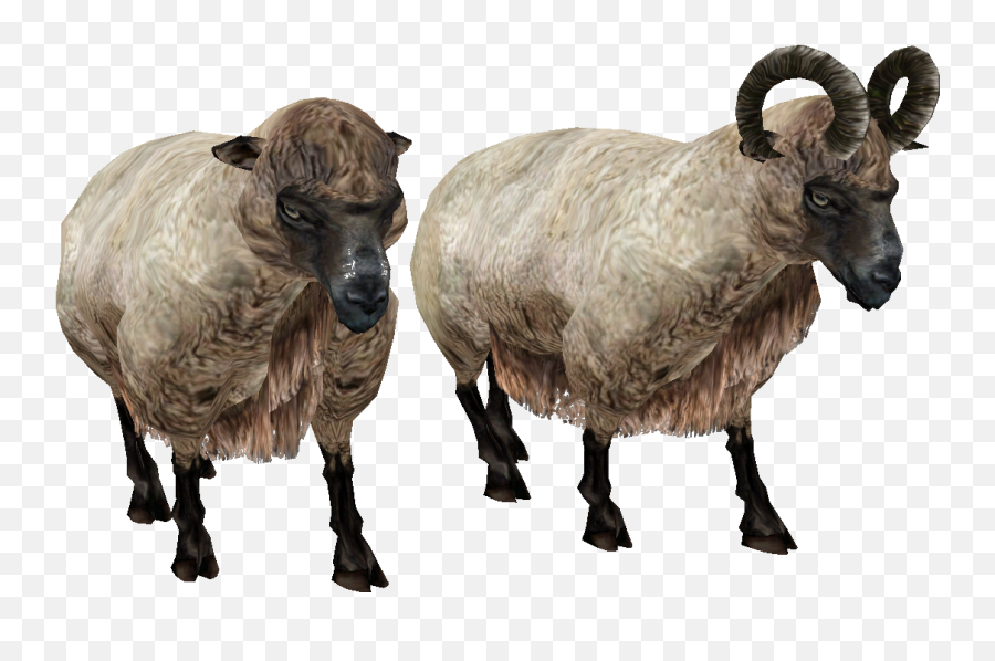 Horned Sheep Transparent Png Picpng Emoji,Oblivion Emojis