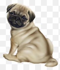 420 Puppiesdogs Art Ideas Dog Art Cute Animals Cute Dogs Emoji,Abstract Pug Emotion
