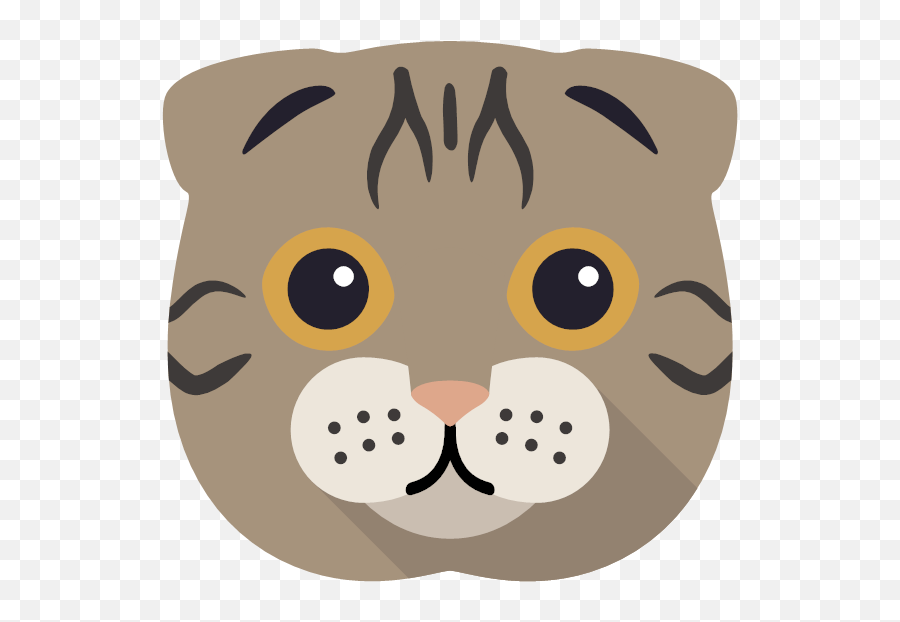 Your Personalized Scottish Fold Shop Scottish Fold Gifts Emoji,Leopard Emoji