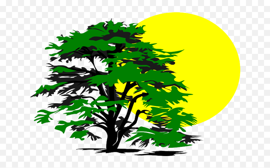 6 - Tree And Sun Clipart Emoji,Emotion Ne Demek