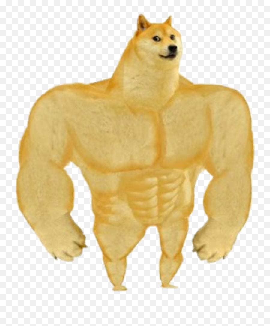 The Most Edited - Swole Doge Png Emoji,Emoticons Musculo