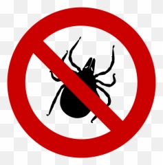 Fun Facts Inspired By Venice - No Ticks Emoji,Entomologists Rate Ant Emojis