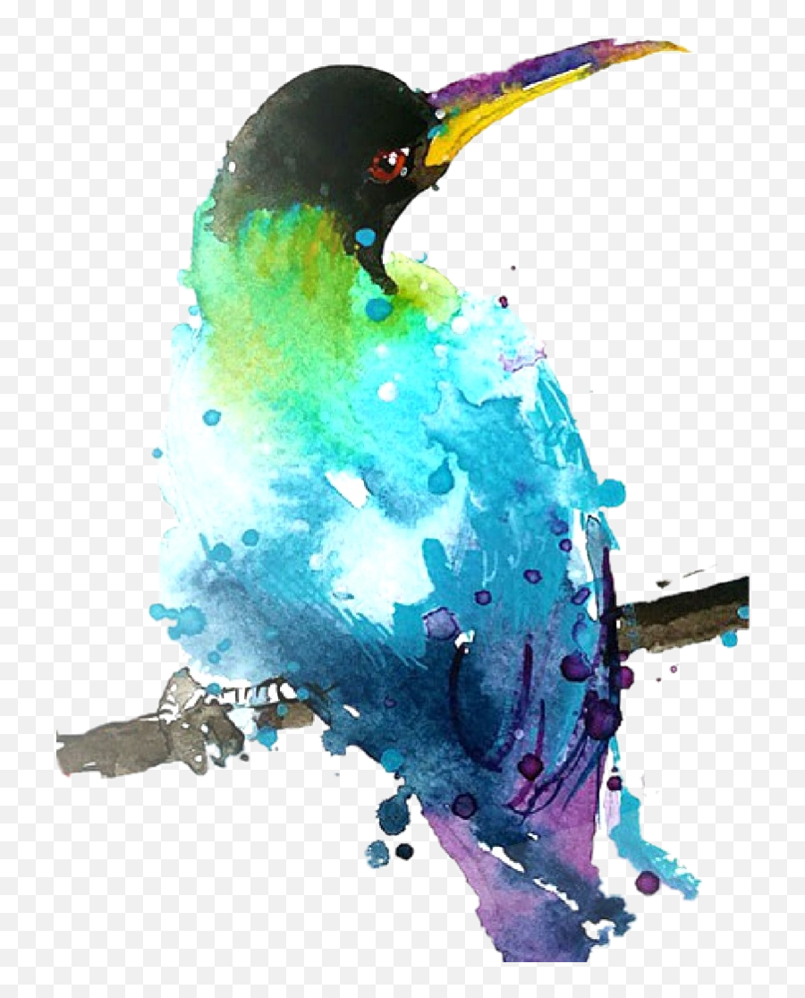 Acuarela Sticker - Coraciiformes Emoji,Acuarela Emojis