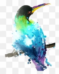 Acuarela Sticker - Coraciiformes Emoji,Acuarela Emojis