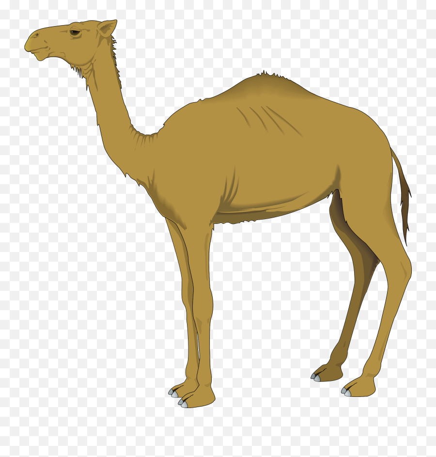 Camel Clip Art - Clipart Camel Emoji,Camel Ride Emoticon