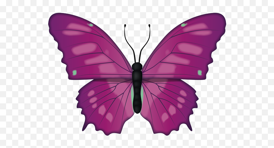 Butterfly Emoji Copy And Paste - Siproeta Stelenes,Skype Crown Emoticon