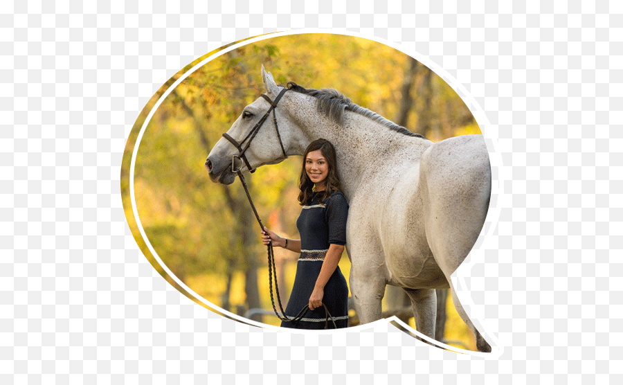 About Nicole U2014 Nicole Begley Emoji,Apple Emotion Support Horse Plane
