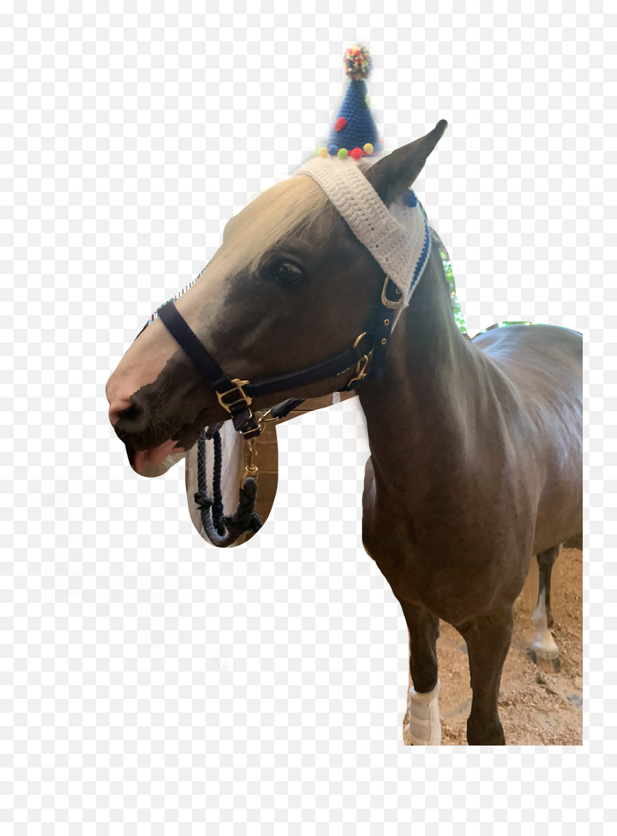 Discover Trending - Halter Emoji,Horse And Plane Emoji Roblox