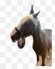 Discover Trending - Halter Emoji,Horse And Plane Emoji Roblox