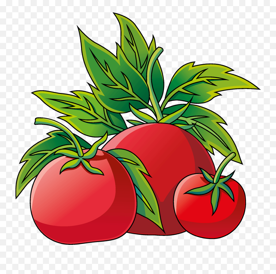 Tomato Clipart Free Download Transparent Png Creazilla Emoji,Tomate Emoticon