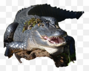 Thiapyran Png Images Download Thiapyran Png Transparent Emoji,Beatroot Emoji