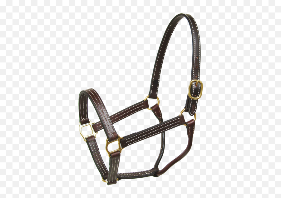 Httpswwwthetackshoppecom Daily Httpswww - Walsh Havana Halter Emoji,Emoji Saddle Pad