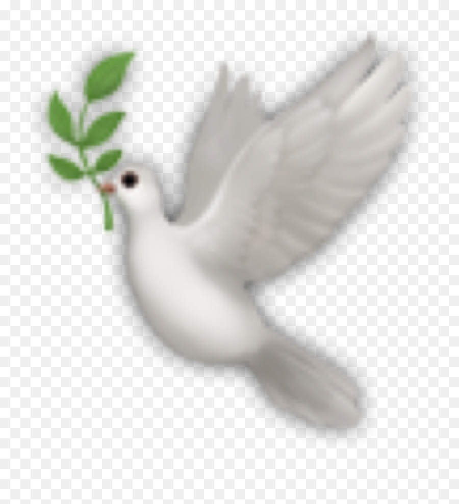 Bird Birds White Emoji Sticker - Hummingbird,White Emojis