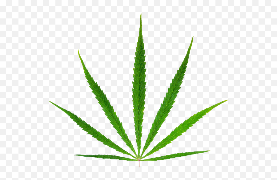 Green Marijuana Png - 5 Fastest Growing Cannabis Strains Emoji,Cannabis Emoji Facebook