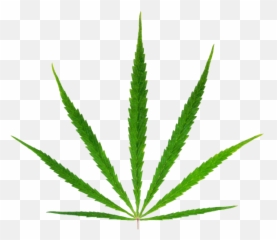 Green Marijuana Png - 5 Fastest Growing Cannabis Strains Emoji,Cannabis Emoji Facebook