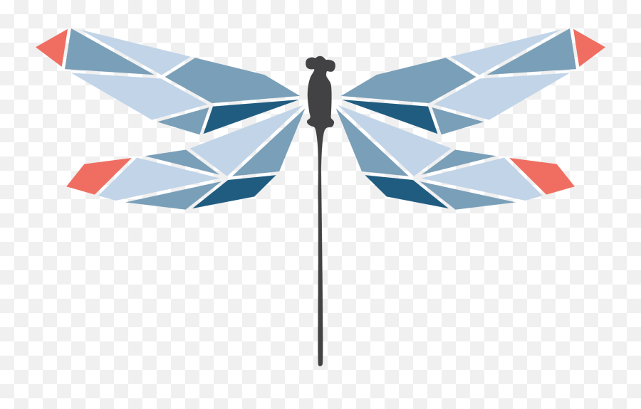 Read Your Way To Better Health Dragonfly Acupuncture - Folding Emoji,Emotion Tolle Evkhardt