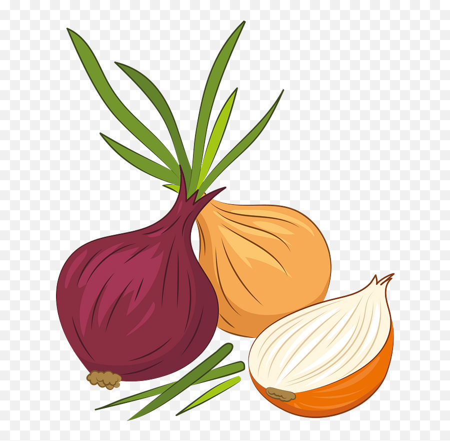 Do You Like - Baamboozle Clipart Pictures Of Onions Emoji,Onion Emoji