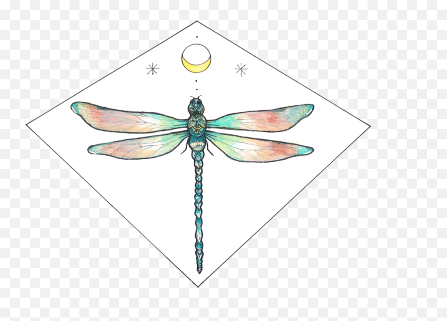 Nurturing Ojas U0026 Connecting With Self U2014 The Guiding Elements - Dragonfly Emoji,Jealousy And Nurturing Emotion