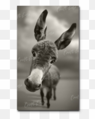 Ben Heine - Picture Frame Emoji,Emotions Face Preschool Craf