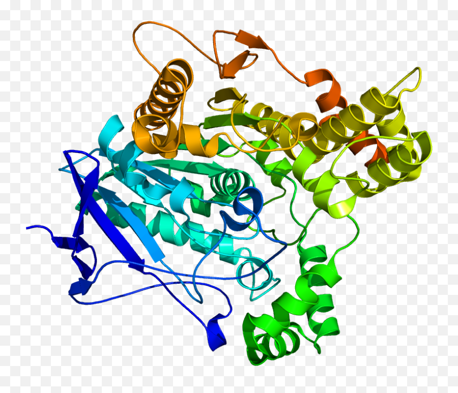 Cholinesterase - Wikipedia Enzima Colinesterasa Emoji,Heighten Emotions Svu