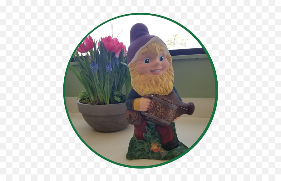 Lisa Pascoe Canada Blooms - Garden Gnome Emoji,Emotions Vine Lawn Mower