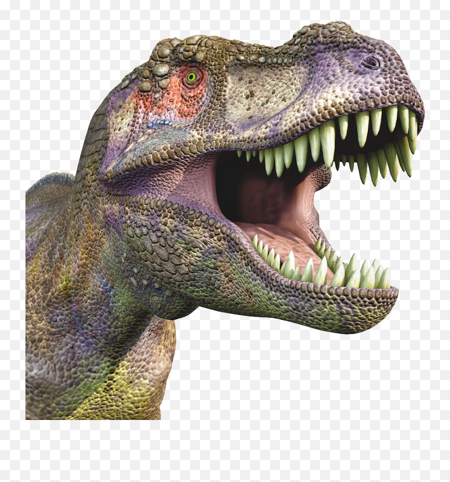 Download Dinosaur Png Image For Free - Dinosaur Head Png Emoji,Dinosaur Emoticons