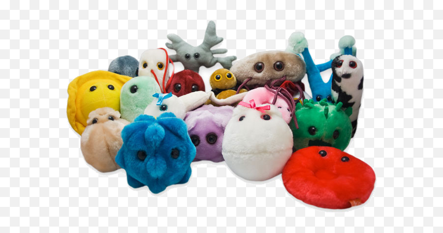 Peluches Microbi Giganti Pupazzi Virus Giantmicrobes - Dog Toy Emoji,Emoticon Raffreddore