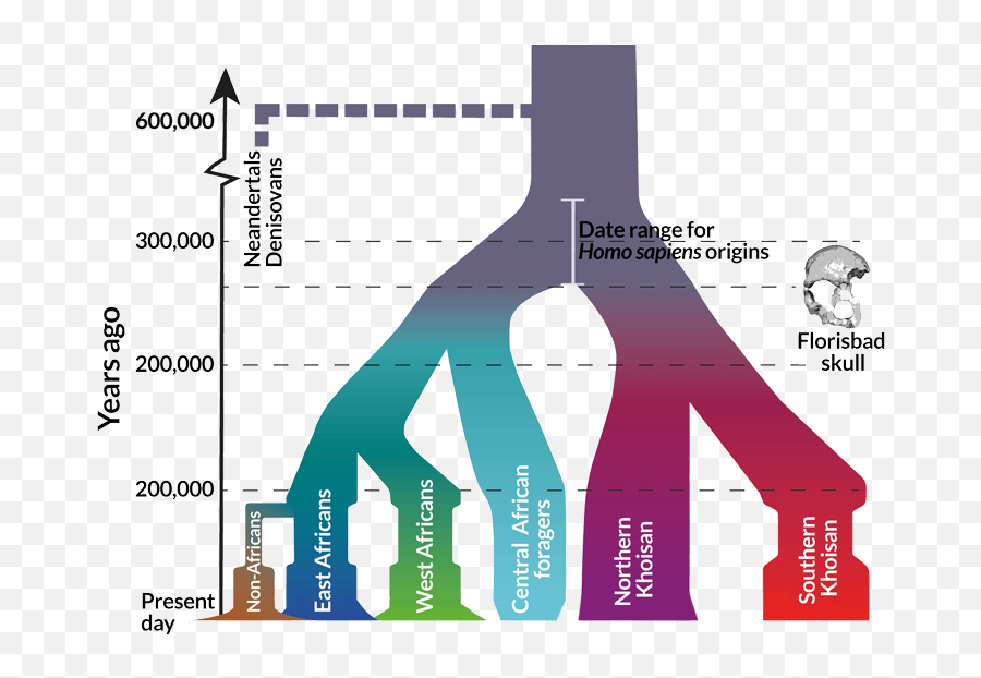 Ancient Dna From Chalcolithic Israel Harney Et Al 2018 - Basal Eurasian Emoji,Excalibur Face Emoticon